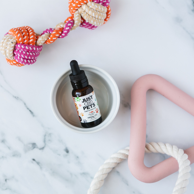 CBD Oil For Cats - Salmon Flavored CBD Oil For Cats - Salmon Flavored